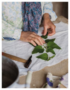 placer les feuilles sur le tissu pour le tataki-zomé