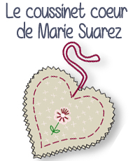 modele broderie coussinet coeur pique aiguille marie suarez diy do it yourself editions saxe edisaxe 