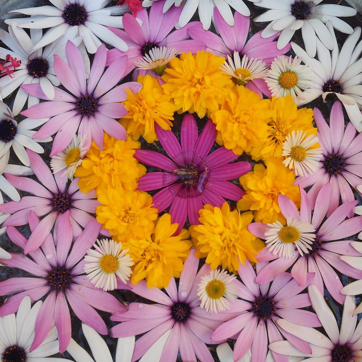 30 mandalas en crochet : participez à notre prochain livre