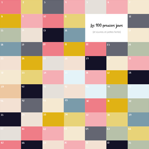 Affiche "les 100 premiers jours"