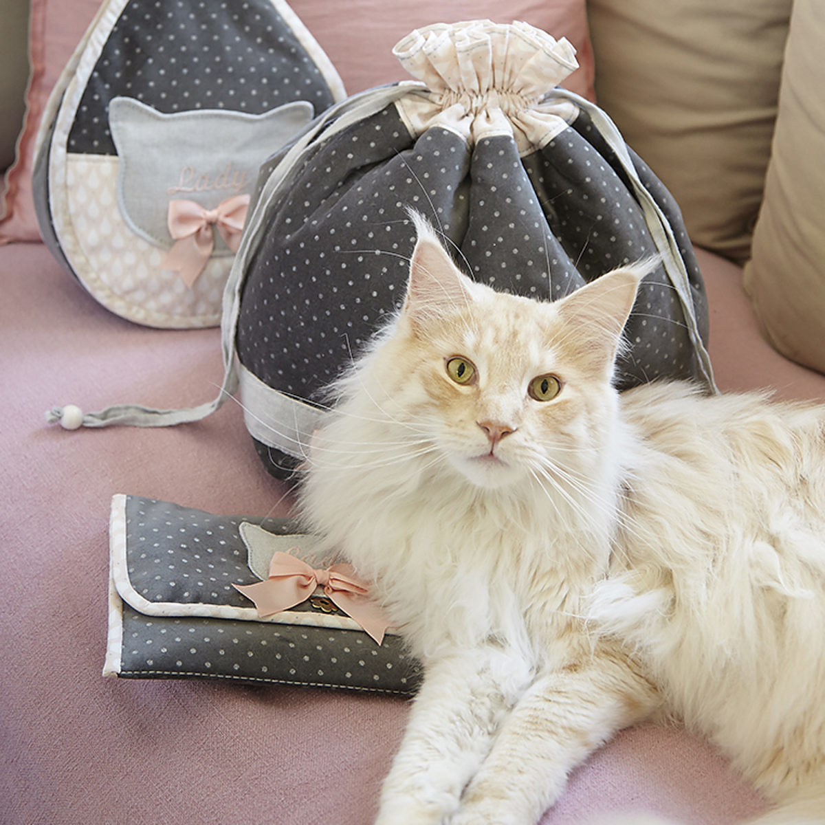 6 raisons d’adopter un chat quand on est fan de DIY