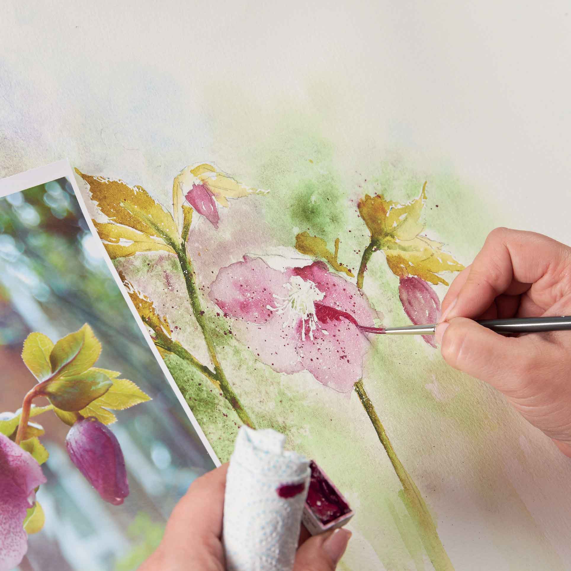 Quel matériel choisir pour débuter en aquarelle ? Nos coups de cœur !